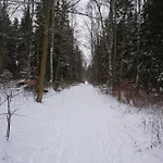 Muggelbude Im Harz Braunlage