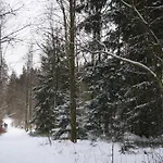 Muggelbude Im Harz *