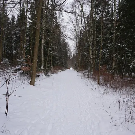 Muggelbude Im Harz Braunlage