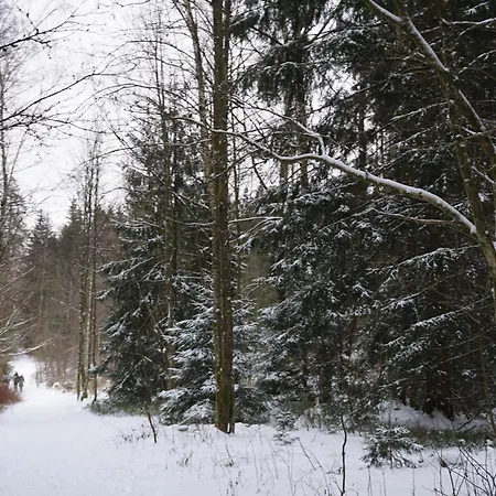 Muggelbude Im Harz *